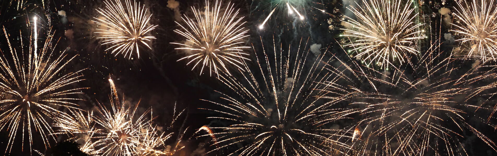 Festive fireworks lighting up the night sky over Hamburg on New Year’s Eve