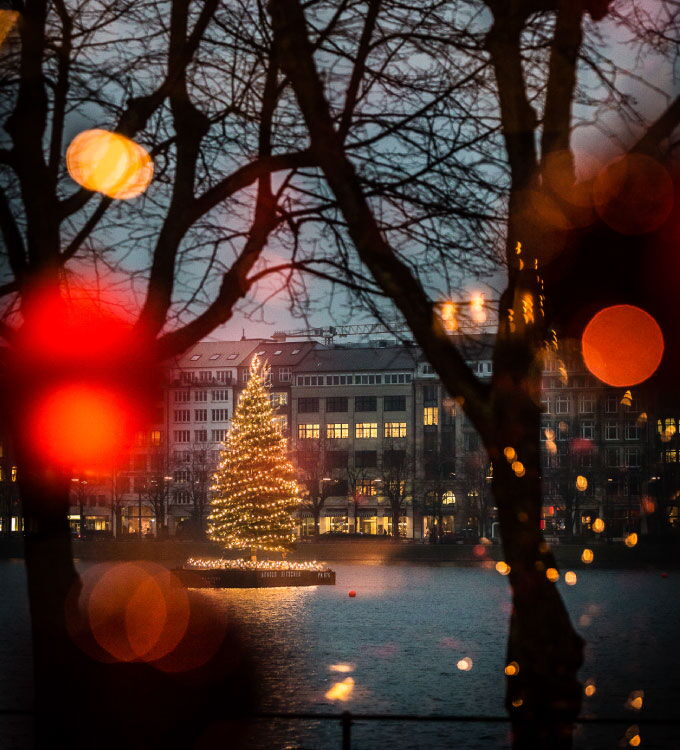 Atmospheric view of the Christmas tree on the Binnenalster in Hamburg.