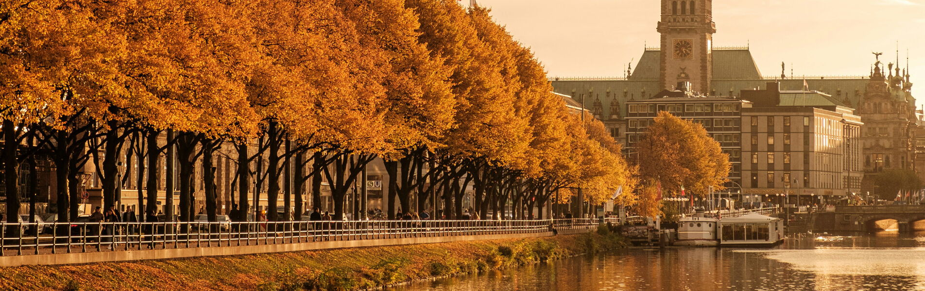 Golden autumn trees along the waterfront in Hamburg with Hamburg City Hall in the background