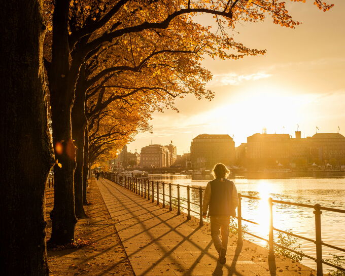 Spaziergang am Hamburger Alsterufer unter herbstlichen Bäumen bei goldenem Sonnenuntergang
