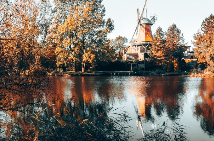 Eine ruhige Herbstszene mit einer traditionellen Windmühle an einem See. Die orangefarbenen und gelben Bäume spiegeln sich im Wasser.