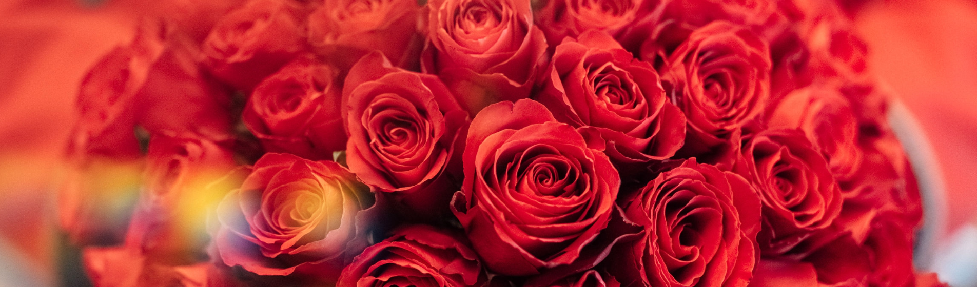 Love is in the air, everywhere I look around